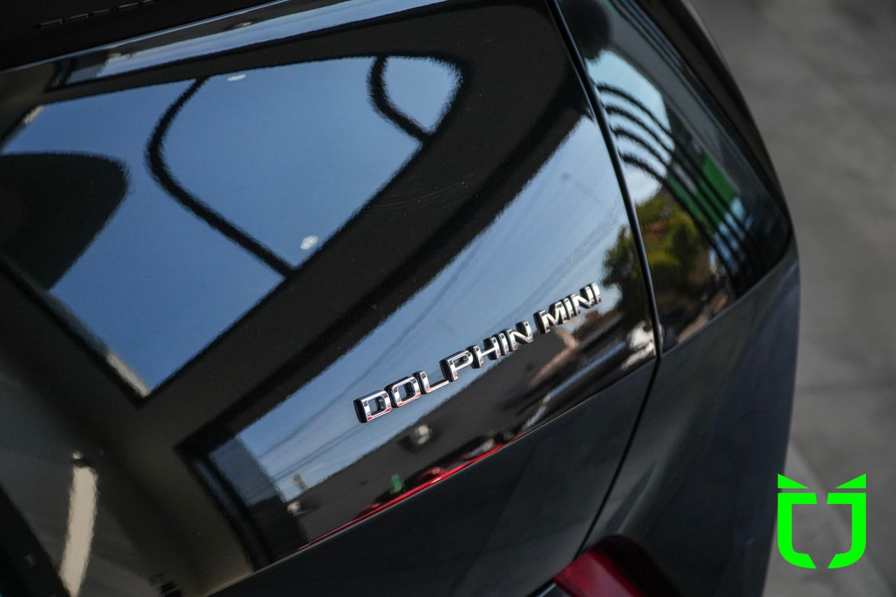 Byd Dolphin Mini 38 KW ELÉTRICO GS 2027 Preto - foto 10