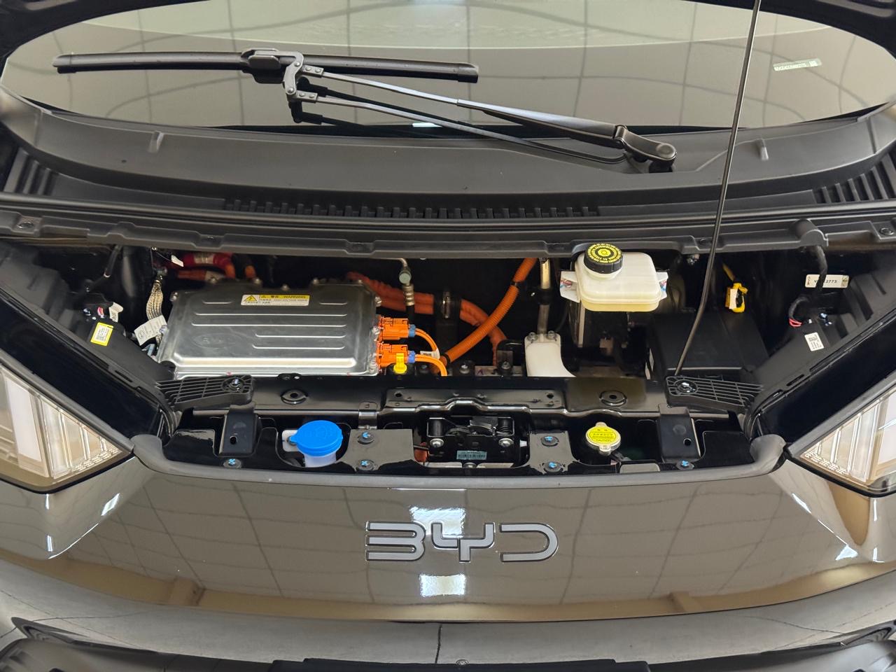 Byd Dolphin Mini 38 Kw Elétrico Gs Branco 2027 - Ayrton Automóveis