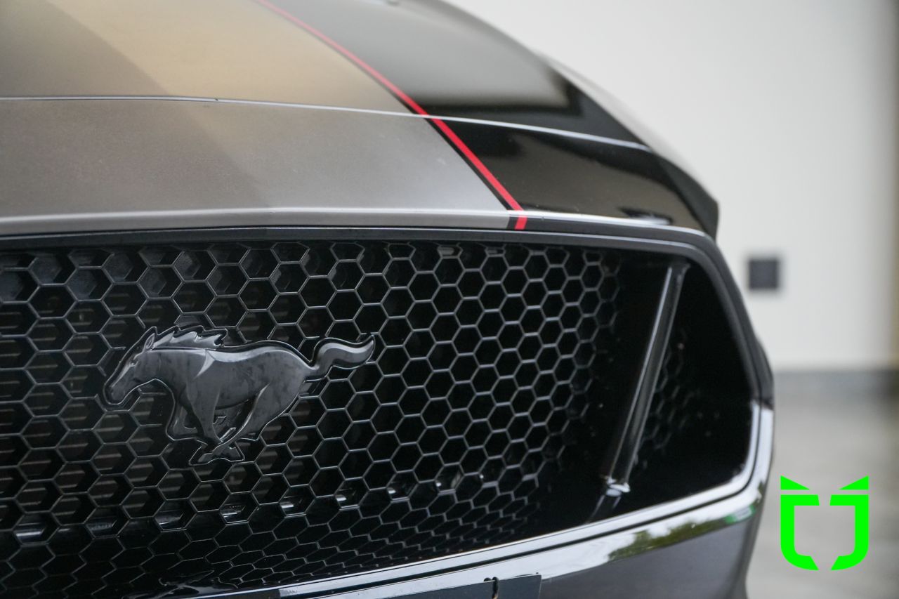 Ford Mustang 5.0 V8 32V COUPÊ GT PERFORMANCE AUTOMÁTICO 2018 Preto - foto 23